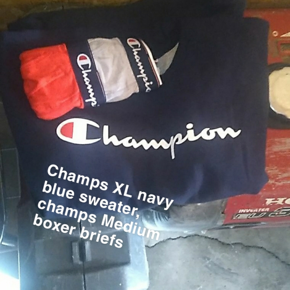 Navy blue Champion pullover sweater